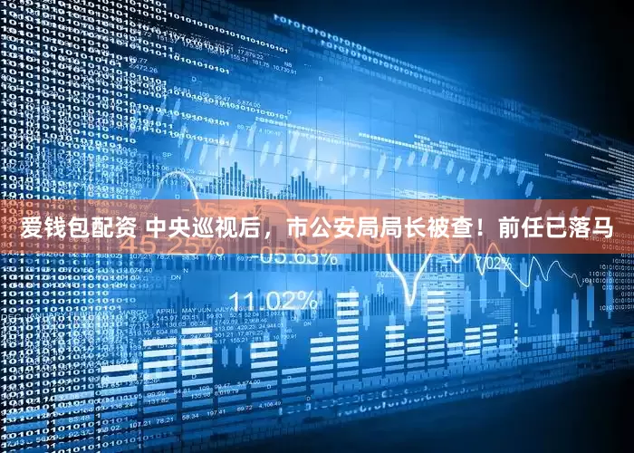 爱钱包配资 中央巡视后，市公安局局长被查！前任已落马