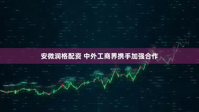 安微润格配资 中外工商界携手加强合作