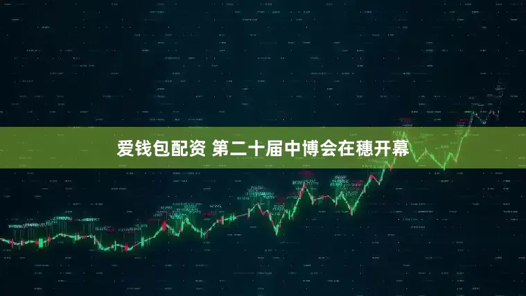 爱钱包配资 第二十届中博会在穗开幕