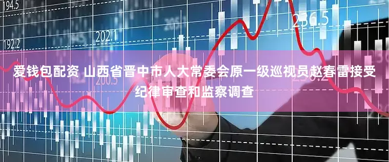爱钱包配资 山西省晋中市人大常委会原一级巡视员赵春雷接受纪律审查和监察调查